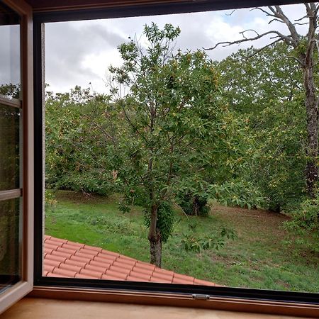 O Bilho Bed & Breakfast Виняйс Екстериор снимка